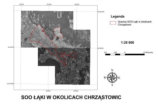 i wysokość roślin. Rzeka Chrząstawa jest niewielkim ciekiem płynącym w zachodniej części omawianego obszaru.