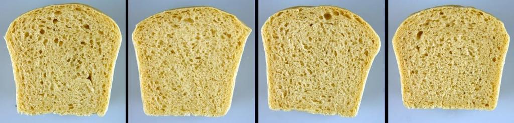 równomierne V = 330 cm 3 D= 70 M: nieco ciężki E: dobra P: równomierne