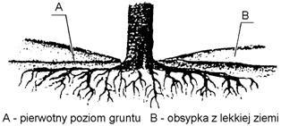 podróżnych przez wykonanie ławki na jej górnej powierzchni Rys. 3.