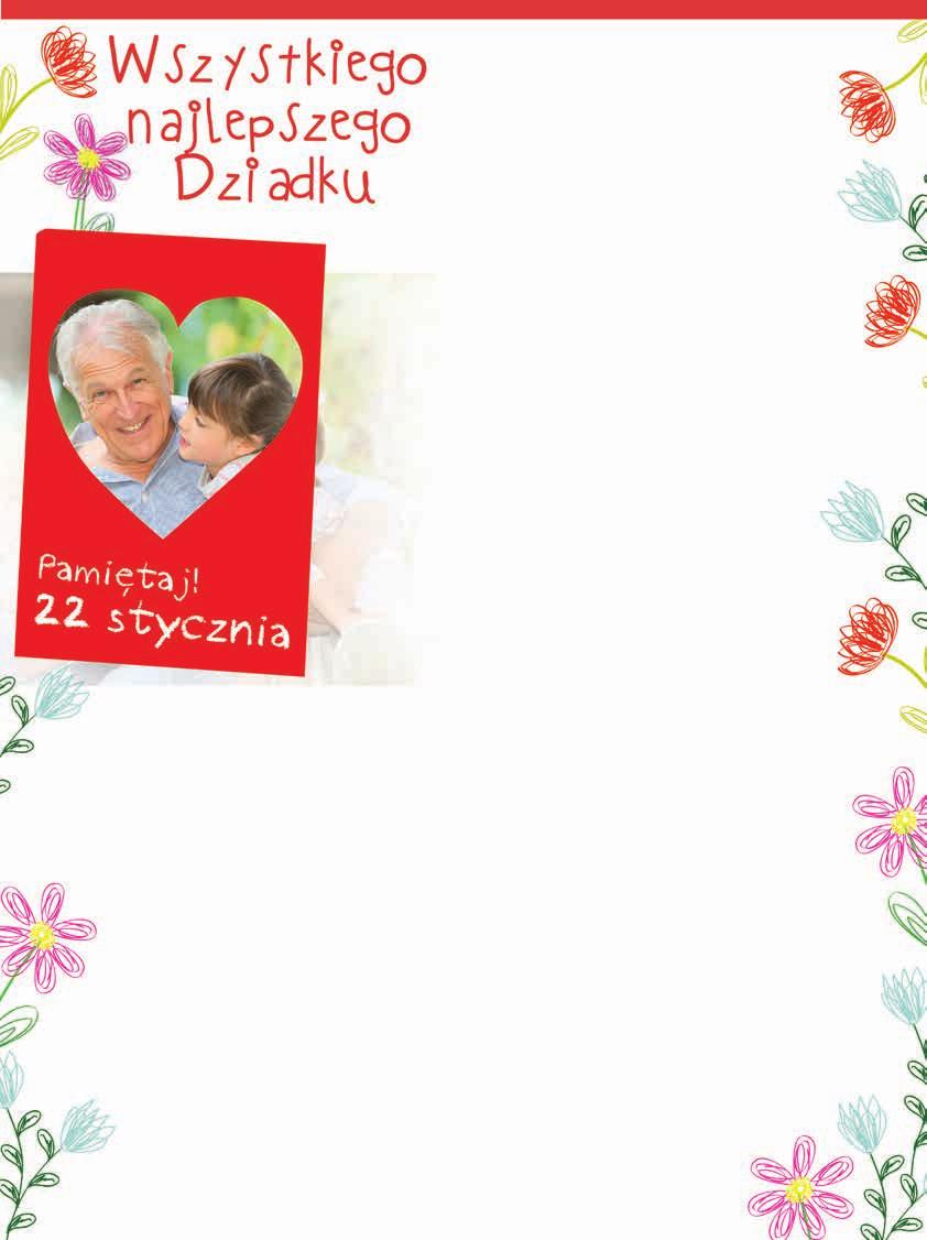 2 99 ROŚLINY CEBULOWE różne kolory