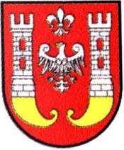 PTTK we Włocławku, Henryka Wasilewskiego - przewodniczącego