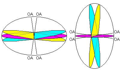 kołowe tworzą małe kąty z osią główną i kryształ jest optycznie ujemny (lewy); Gdy oś