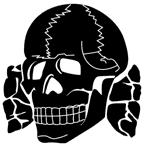 "SS-TOTENKOPF" charakterystyczna czaszka z piszczelami, wzór