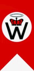 czasie II wojny światowej używany przez Waffen-SS.