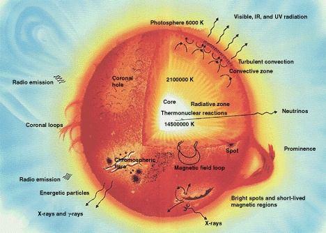 Rys. NASA Rys.2. Słońce w przekroju. Oznaczenia: core jądro słoneczne, radiative zone strefa promienista, convective zone strefa konwektywna, photosphere - fotosfera słoneczna.