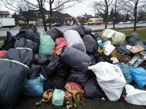Na Dzierzby bez zmian Składowisko zielonych śmieci przy ul.