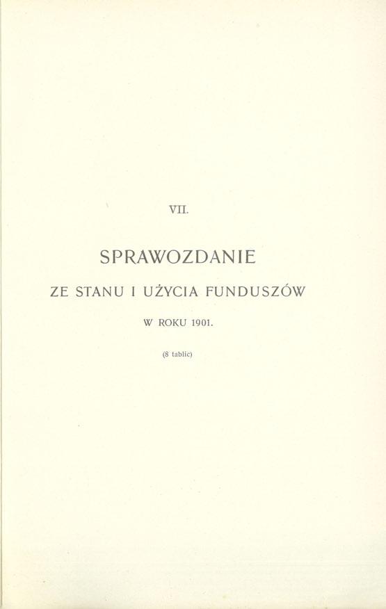 VII. SPRAWOZDANIE ZE STANU I