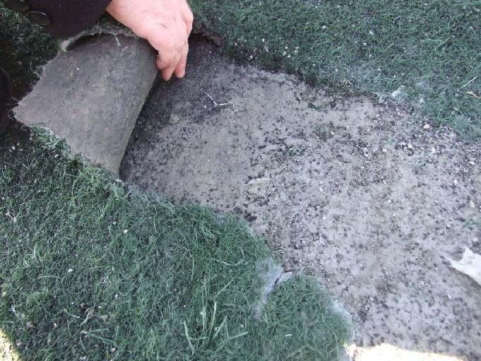 Dąbrówki 10 jest dość intensywnie eksploatowane zarówno w czasie