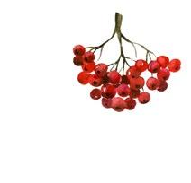 cię 9 59