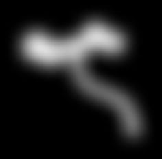 profil stynow, rolki