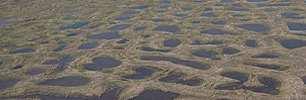 Gleby poligonalne to gleby powstające w warunkach