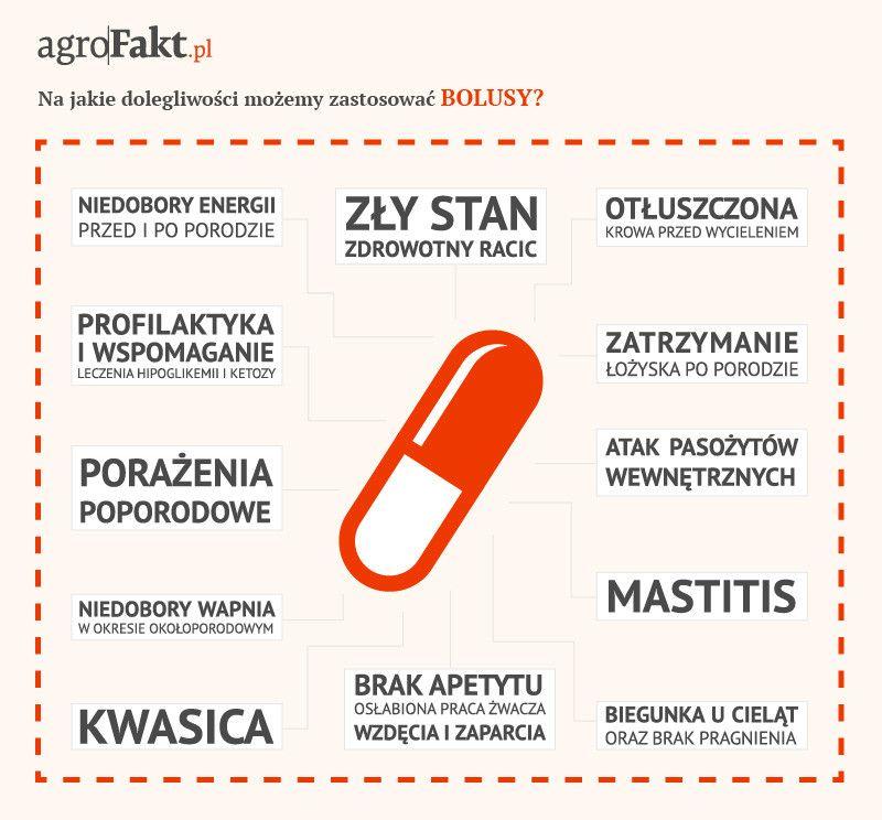 .pl https://www..pl Na jakie dolegliwości można zastosować bolusy?