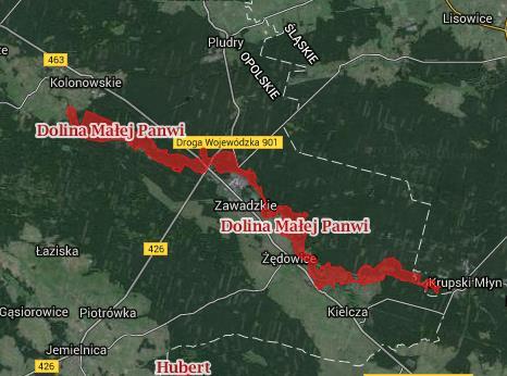 dopływach występują zbiorowiska Ranunculetum fluitantis. Dolina przedstawia unikalne zróżnicowanie siedliskowe nieobecne w innych częściach województwa.