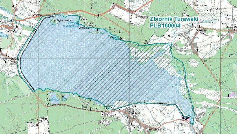blaszkodziobych, w tym zwłaszcza gęsi zbożowej (do 5 000 osobników) i krzyżówki (do 5700 osobników). Na migracjach licznie występuje również rybitwa czarna (do 450 osobników).