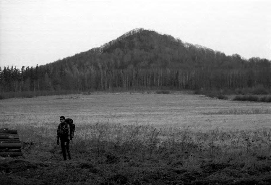Rozprawy Naukowe Instytutu Geografii i Rozwoju Regionalnego Uniwersytetu Wrocławskiego 16 Ryc. 60. Nek bazaltowy Ostrzycy najwyższy szczyt Pogórza Kaczawskiego (fot. W. Placek, za zgodą autora) Ryc.