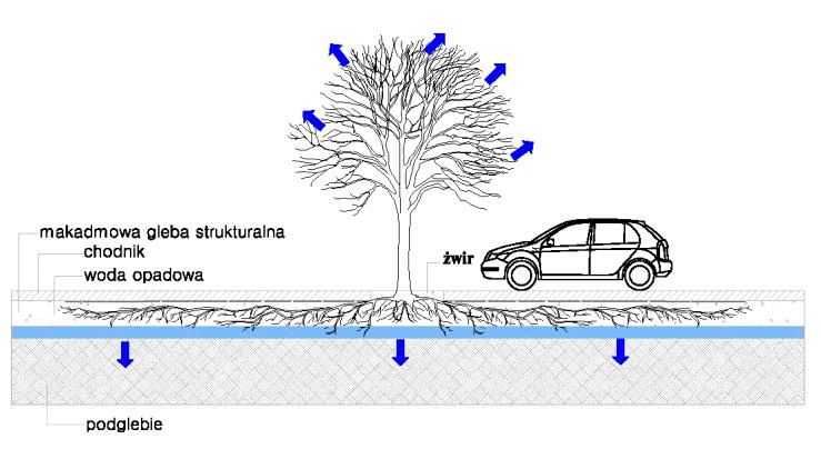 Pod o a strukturalne przykryte nawierzchni przepuszczaln s narz dziem poprawy warunków siedliskowych drzew oraz retencji w miastach [16] Fig. 2.