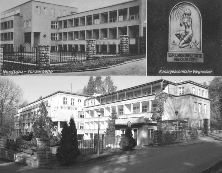 Obiekt zosta zupe nie pozbawiony ornamentu, w szczególno ci detalu historyzuj cego. Minimalizm detalu jest widoczny w przemy lanej prostocie lusarki por czowa czy w ascetycznych witra ach. Rys. 5.
