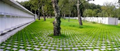 Archetyp drzewa. Drzewo ma wiele znacze zwi zanych z tematyk ycia, mierci oraz zmartwychwstania.