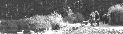 94 Rys. 5. Grobla przysz ej Espanady utworzona na rozlewiskach wodnych Rys. 5. The causeway of the future espanade created in the riverlands Rys. 6.