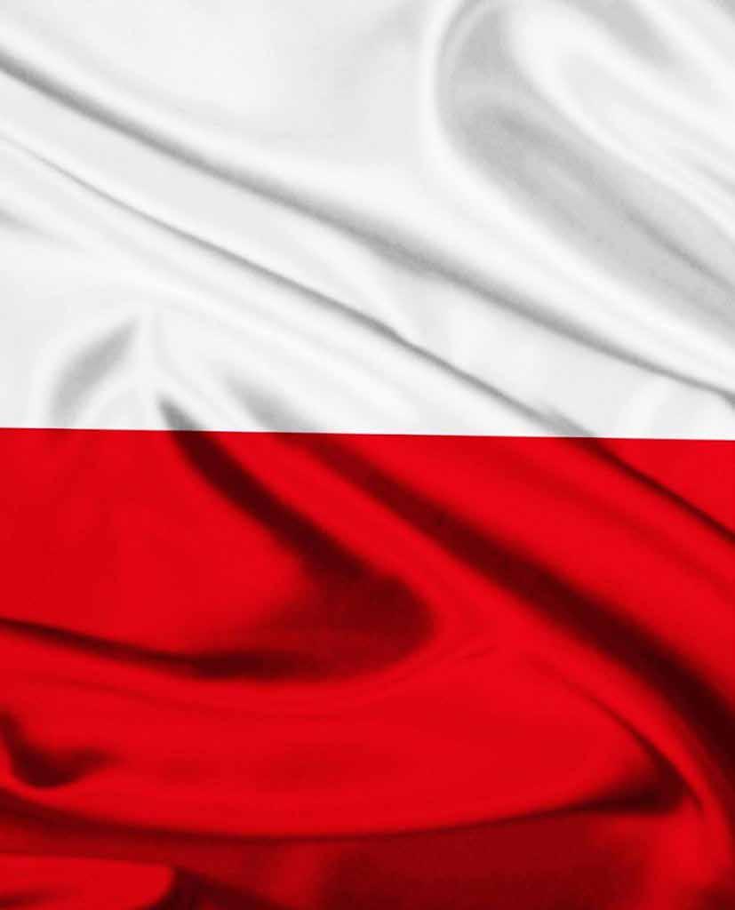 RAPORT służby konsularnej 2016 Departament