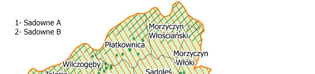 3.6.2. Zasoby przyrodnicze Cały obszar gminy Sadowne stanowią tereny Nadbużańskiego Parku Krajobrazowego.