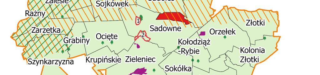 częściową powierzchnię 5 sołectw (Grabiny, Sadowne, Szynkarzyzna, Orzełek, Złotki). Na terenie sołectwa Zieleniec znajduje się Torfowisko Kules. Ten użytek ekologiczny zajmuje powierzchnię 27,6 ha.