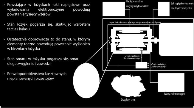 Podręcznik wersja metryczna www.