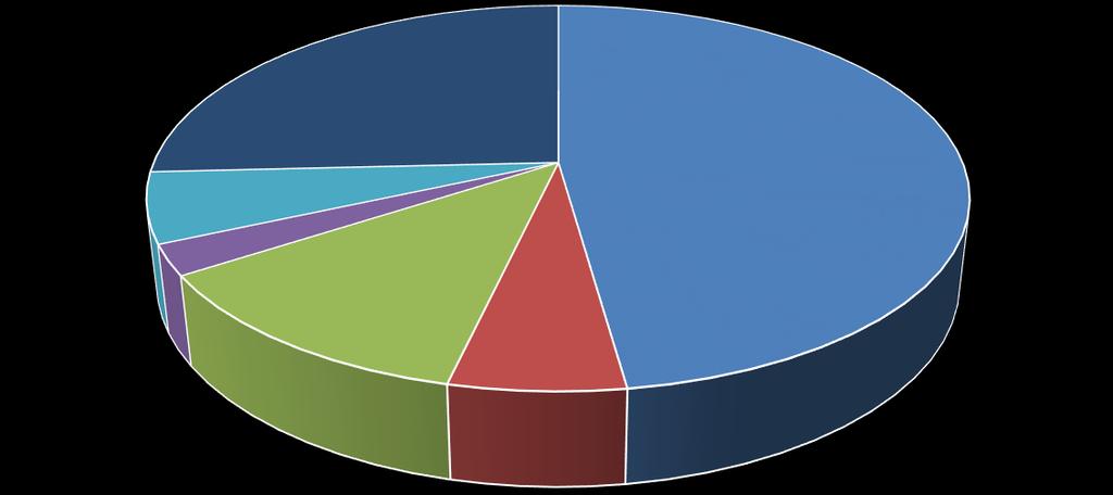 Akcjonariusze posiadający poniżej 5% udziału w ogólnej liczbie głosów 25,78% Struktura akcjonariatu na dzień 31.03.2017 r. DSA FG SA 47,78% Nolmanier LTD 5,88% Dariusz Czyż 2,54% Quercus TFI S.A.