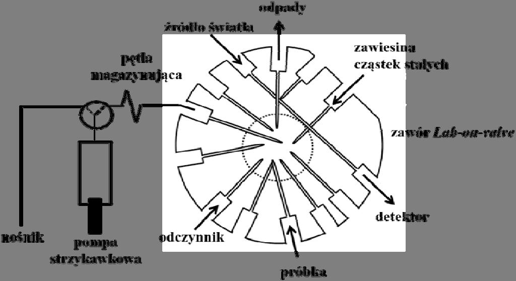 proteazy oraz w testach interakcji bioligandu immunoglobiny G na podstawie jego interakcji z białkiem G unieruchomionym na zawiesinie złoża stałego sefarozy [13].