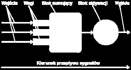 To nie wszystkie składowe biologicznego neuronu, lecz inne z punktu widzenia SSN nie będą nas interesować. Model neuronu składa się z dokładnie tych samych elementów, które wyżej wymieniono.
