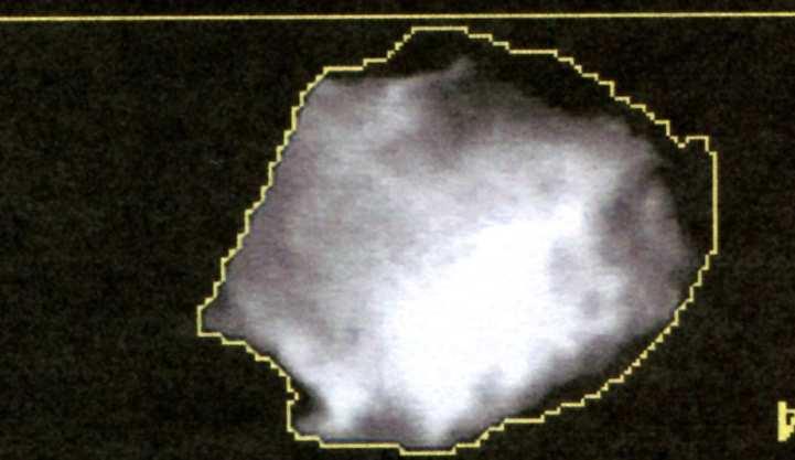 a b c Ryc. 2.