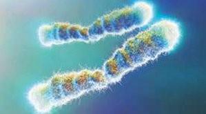 Rozwiązano zagadkę alternatywnego mechanizmu wydłużania telomerów Telomery, czyli strukturalne elementy chromosomów, zbudowane są z powtarzającej się sekwencji nukleotydów.