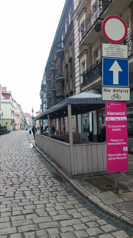 w najsilniej zurbanizowanych rejonach, a drugie dają ludziom możliwość aktywności fizycznej, nie tylko poprawiając kondycję i wydolność, ale wychodząc naprzeciw np. siedzącemu trybowi życia.