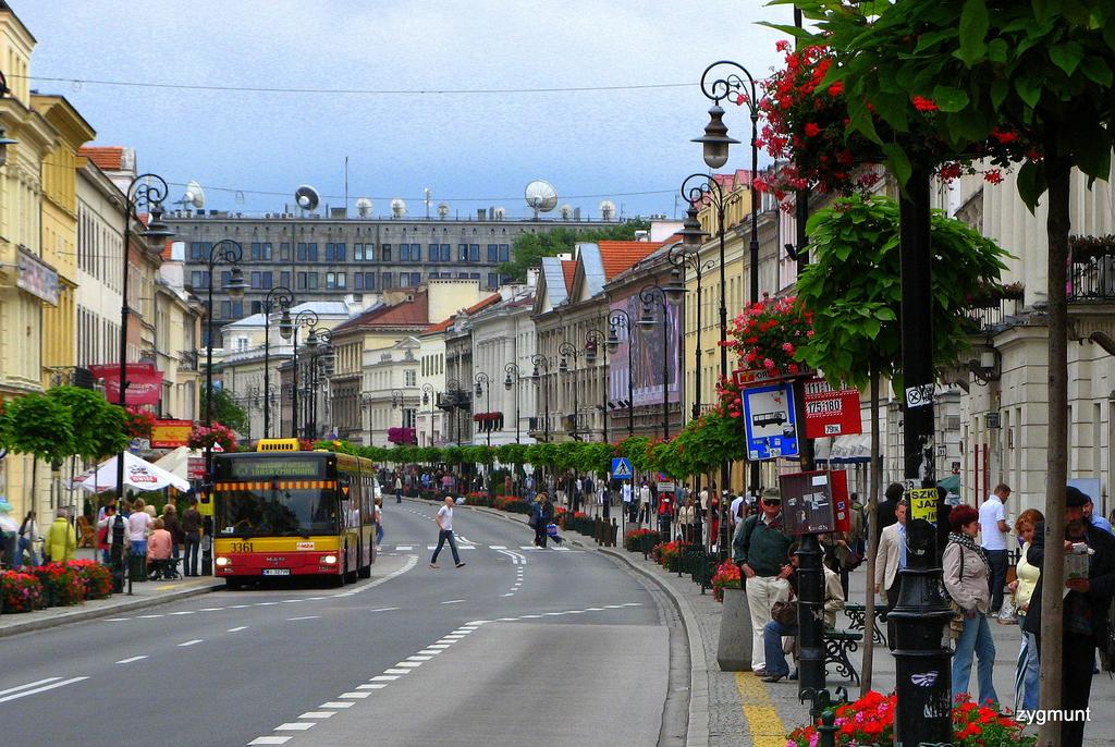 Rysunek 20. Przeznaczona niemal wyłącznie dla autobusów ul. Nowy Świat w Warszawie 2. Spowalniacze ruchu w postaci tzw.