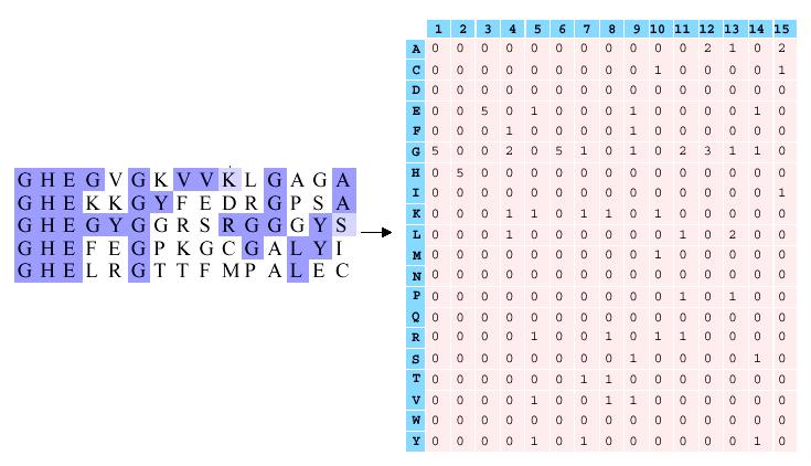 Position Specific Score Matrix (PSSM) PSSM jest macierzą opartą na częstotliwości występowania aminokwasów (nukleotydów) w każdej pozycji porównywanych sekwencji PSSM przypisuje aminokwasom