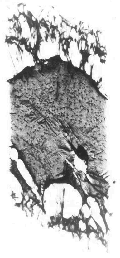 Odbiciowa topografia