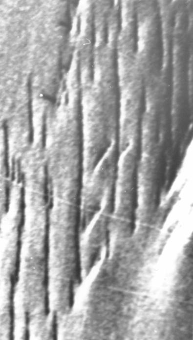 Próbka B 1 (koniec kryształu) Topografia transmisyjna Langa Topografia