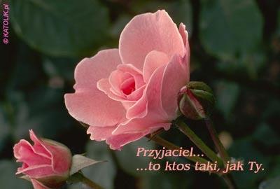 Dziękuję