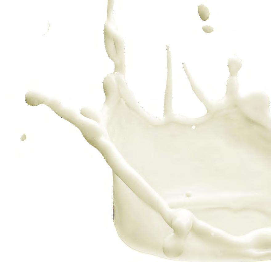 FARBA DO PÓŁTRWAŁEJ KOLORYZACJI