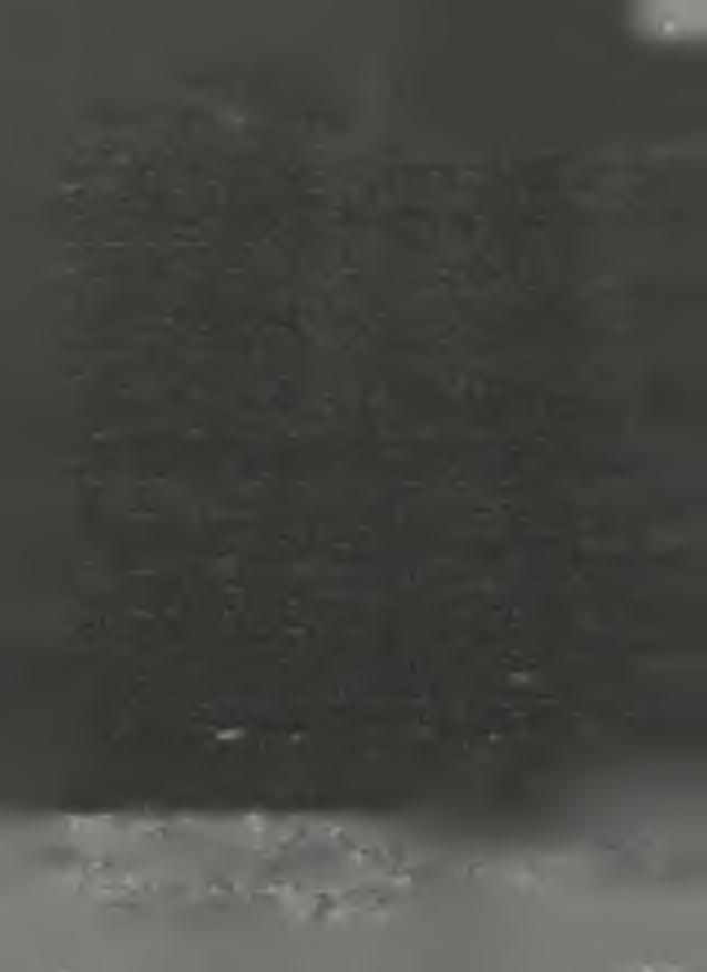 na Synku Łazarskim grupa oficerów Gestapo i tam 8 miejsca został przez nich w nieludzki sposób zbity i skopany tak, że jego zwłoki $rzeba było w rolowa* na prześcieradło.