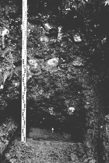 234 M. Wojenka, K. Dzięgielewski Ryc. 7. Ojców dawny park zdrojowy, wykop 11. Profil południowy z widoczną warstwą kulturową (oznaczona strzałką). Fot. M. Wojenka. Fig. 7. Ojców former spa gardens, trench 11.