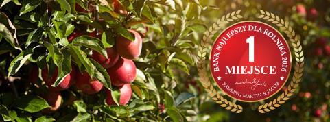 Segment Agro bank pierwszego wyboru dla klientów segmentu Agro Wynik z działalności bankowej (mln zł) Udziały rynkowe +13% 219,9 11,7 58,2 247,6 16,0 60,1 Wynik na działalności handlowej i pozostałej