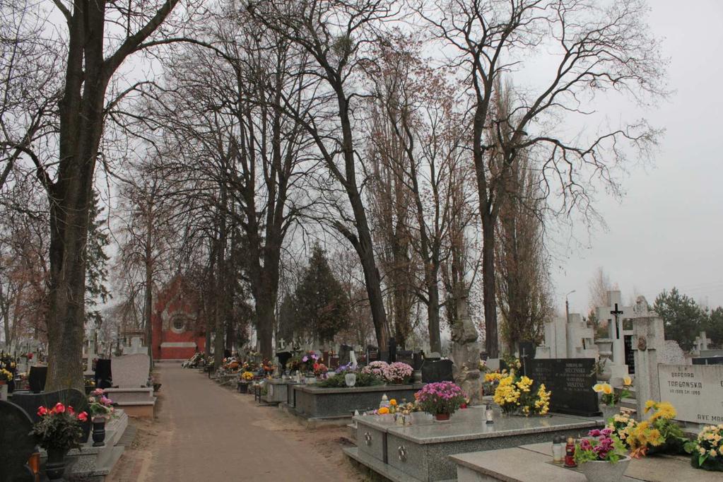 wzgórze Św. Antoniego grodzisko z XIV w., nr rejestru C/144 z dnia 30.12.1993 Wszystkie obiekty wpisane do rejestru zabytków, są nadal zachowane i dostępne w stanie niepogorszonym.