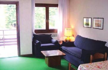 (zawiera OC na stoku) - zalecane (opcjonalne) obowiązkowe sprzątanie końcowe (38 /apartament) - kuchnia musi być posprzątana mimo opłaty obowiązkowa kaucja zwrotna za apartament (100 ) wyżywienie -