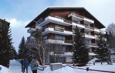 Wszystkie apartamenty posiadają całkowicie wyposażoną kuchnię, łazienkę z wanną lub prysznicem, WC, balkon. Budynki oddalone są od wyciągów i stoków od 50-600 m.