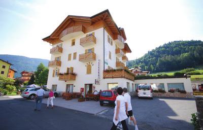 Transfery na stoki skibusem lub autokarem Funclub. Hotele*** z recepcją, barem, restauracją, pokojem telewizyjnym, narciarnią i parkingiem. Z hotelu do najbliższych wyciagów około 4-5 km. Pokoje - ok.