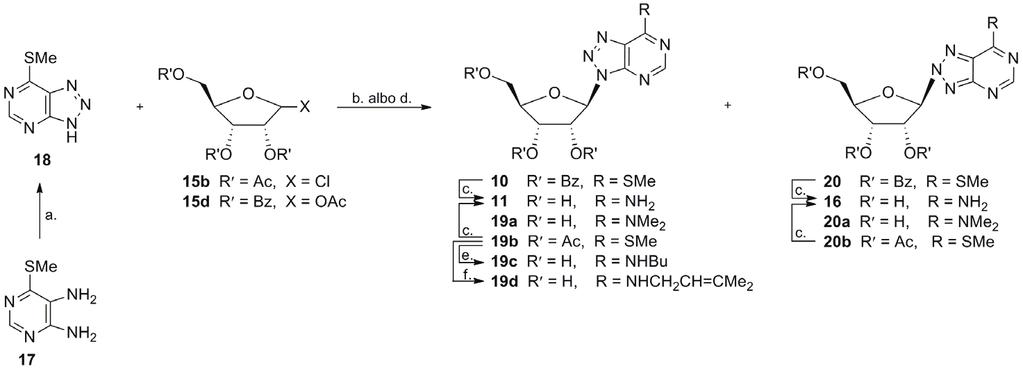NUKLEOZYDY 8-AZAPURYNOWE SYNTEZA I AKTYWNOŚĆ BIOLOGICZNA 155 Dogodnym substratem w syntezie 8-azaadenozyny 11, ale także jej pochodnych podstawionych przy C6 jest 8-aza-6-metylotiopuryna 18, którą