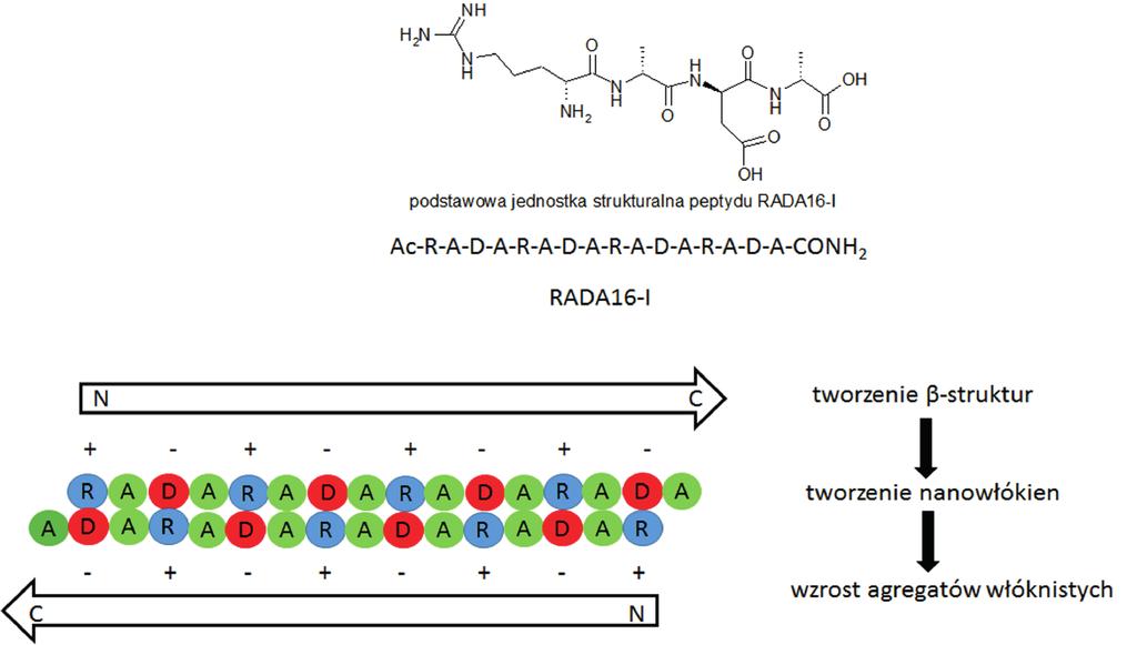RUSZTOWANIA (SCAFFOLDS) STOSOWANE W MEDYCYNIE REGENARACYJNEJ 273 finalnie hydrożele peptydowe.