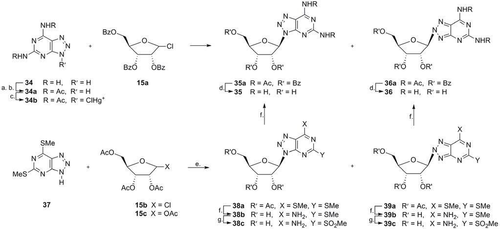 NaNO 2, AcOH; d. MeONa. MeOH; e. H 2 O, H + 1.4. 2-AMINO-8-AZAADENOZYNA Schemat 9. Synteza 2-amino-8-azaadenozyn 35 i 36; odczynniki i warunki: a. Ac 2 O, ; b. H 2 O, EtOCH 2 CH 2 OH, ; c. HgCl 2 ; d.