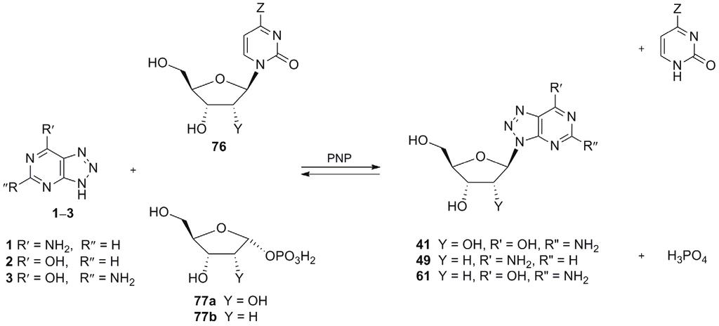 NUKLEOZYDY 8-AZAPURYNOWE SYNTEZA I AKTYWNOŚĆ BIOLOGICZNA 167 Schemat 18. Synteza 8-aza-2,3 -dideoksyguanozyn α- i β-72 oraz ich regioizomerów α- i β-74 i α- i β-75; odczynniki i warunki: a.